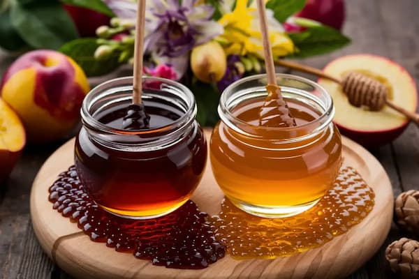 قیمت عسل بهاره ممتاز دامداران با فروش عمده